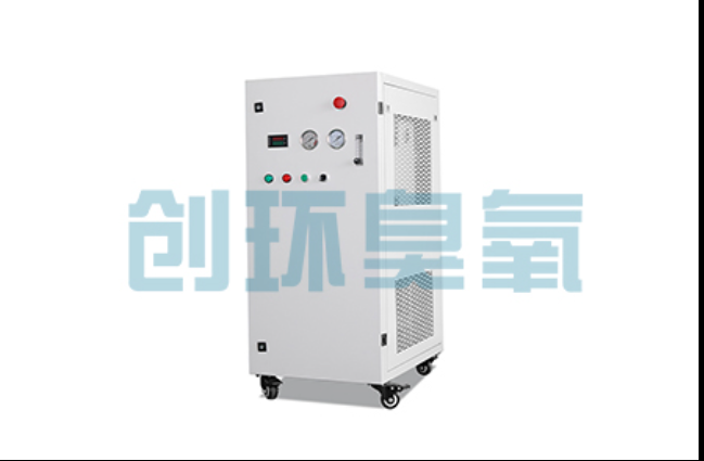 徐汇工厂化养鲈必看:2026年臭氧发生器替代传统消毒的最新方案