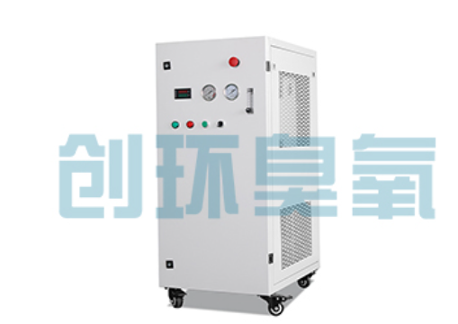 徐汇石斑鱼养殖水质调控完整指南:臭氧发生器配置与操作步骤