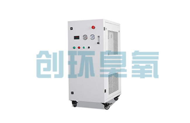 徐汇比传统换水更高效?臭氧发生器在石斑鱼养殖中的水质净化原理解析